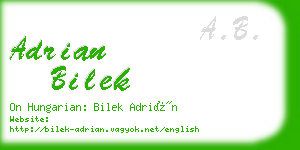 adrian bilek business card